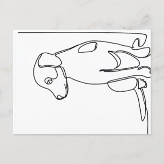 Inquisitive Dog Postcard