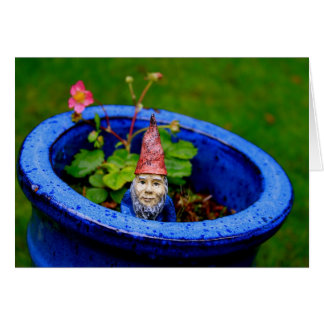 Inquisitive Gnome