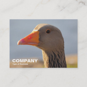 Inquisitive Greylag Goose Business Card