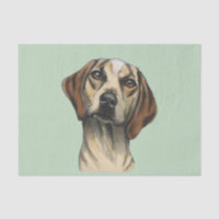 Inquisitive Hound Rendering