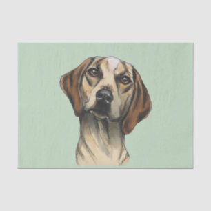Inquisitive Hound Rendering Tissue Paper