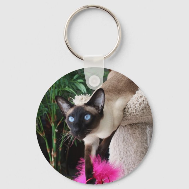 Inquisitive Siamese Cat Key Ring (Front)