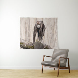 Inquisitive Young Gorilla  Tapestry