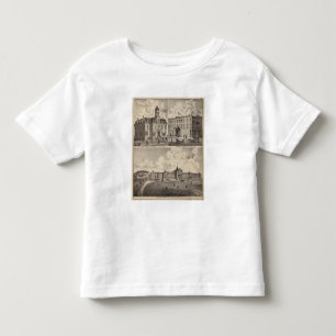 Insane Hospital, Public School Building, Minnesota Toddler T-Shirt