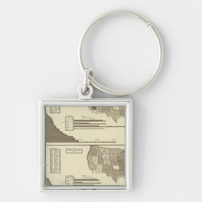 Insane, Idiotic, Blind statistical map Key Ring (Front)