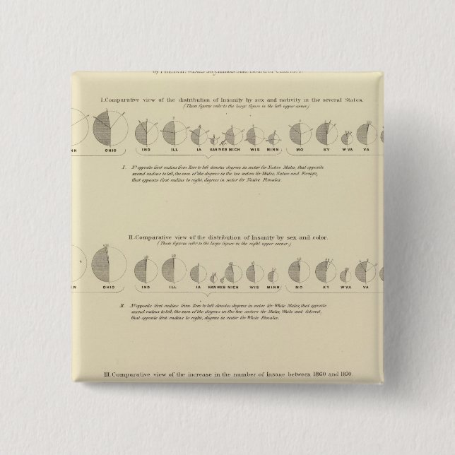 Insane, Statistical US Lithograph 1870 15 Cm Square Badge (Front)