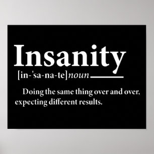 Insanity Definition Funny Insanity Explanation Poster