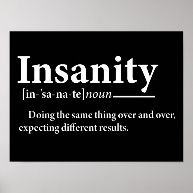 Insanity Definition Funny Insanity Explanation  Poster (Front)