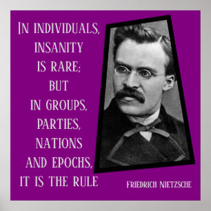 Insanity is the Rule Nietzche Poster