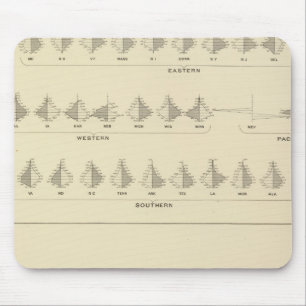 Insanity, Statistical US Lithograph Mouse Pad