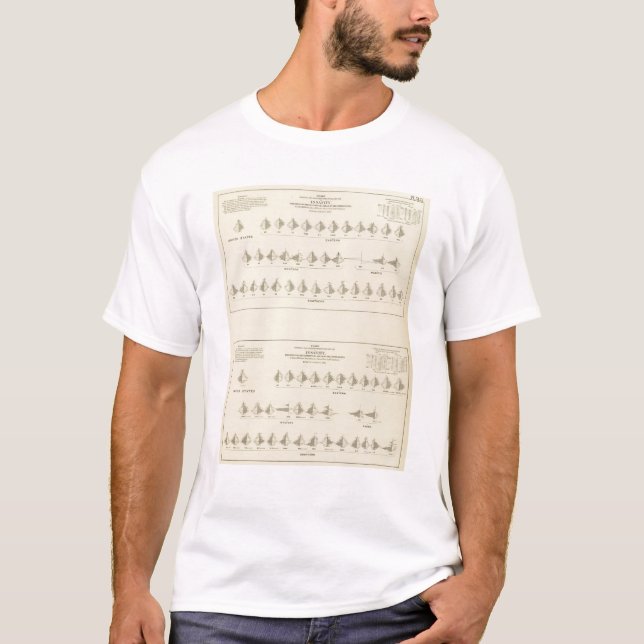 Insanity, Statistical US Lithograph T-Shirt (Front)