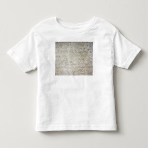 Inscription in the Kushana language written Toddler T-Shirt
