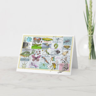 Insect Alphabet Card