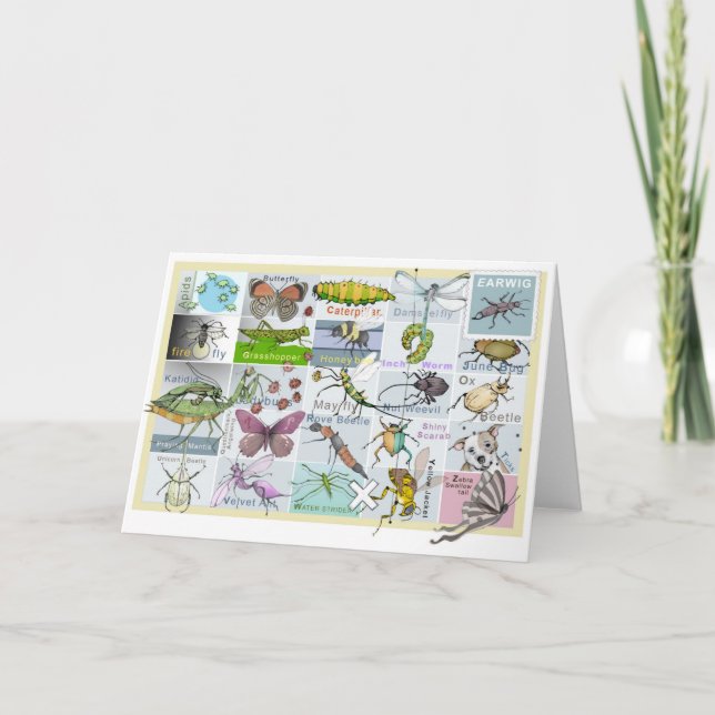 Insect Alphabet Card (Front)