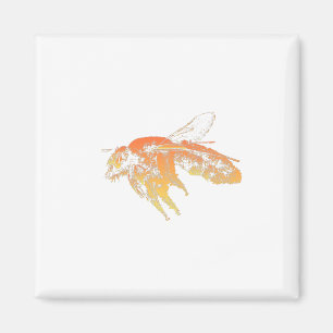 Insect bee orange magnet