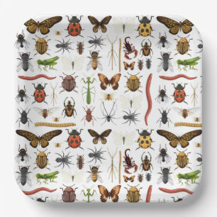 Insect Birthday Paper Plate