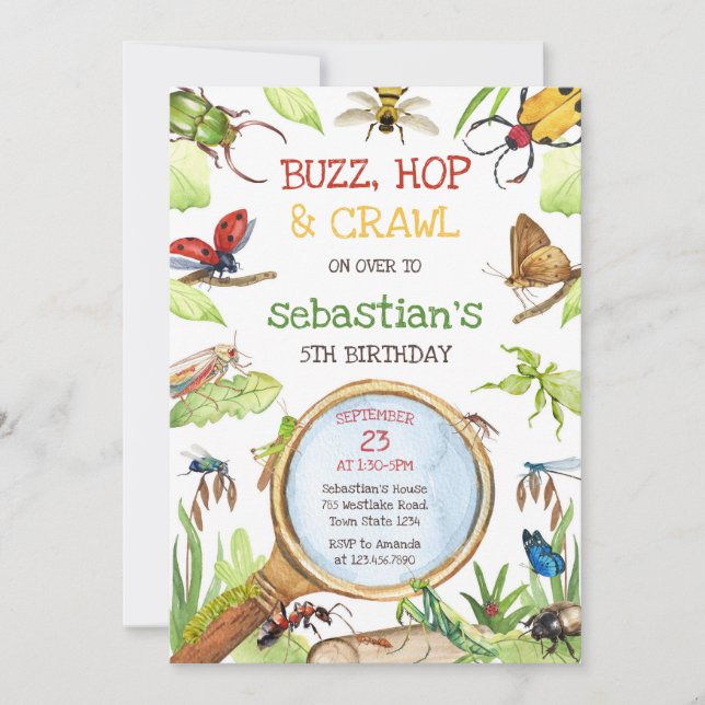 Insect Bug Party Birthday Invitation (Front)
