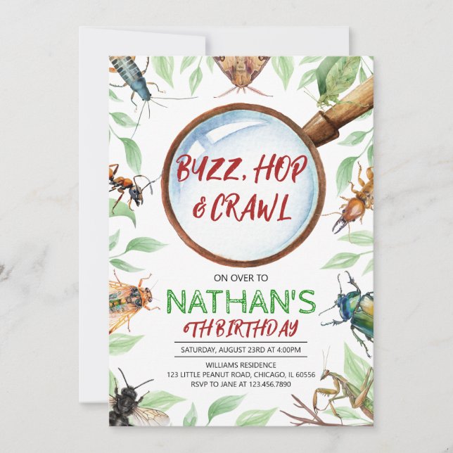  Insect Bugs Birthday Invitation (Front)