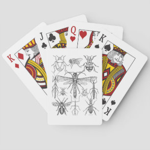 Insect Design Playing Cards