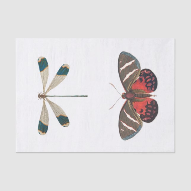 Insect garden decoupage tissue paper (Front)