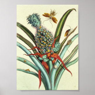 Insect Generations Plate 1 Poster