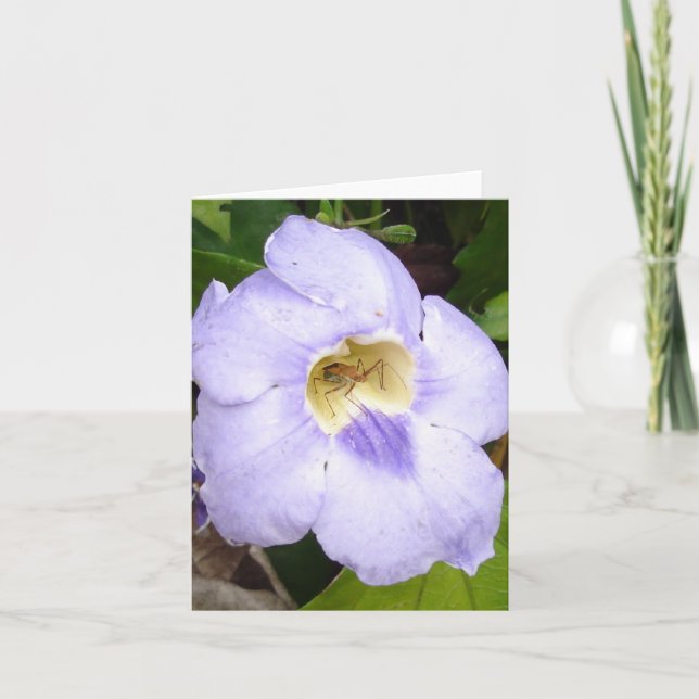 Insect in Residence floral card v2 (Front)