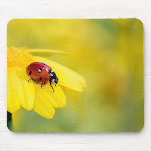 insect, ladybug, flower mouse pad