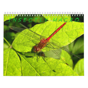 Insect Macro Photography Calendar