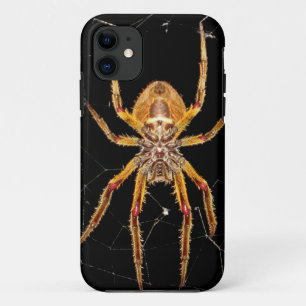 insect macro spider colombia iPhone 11 case