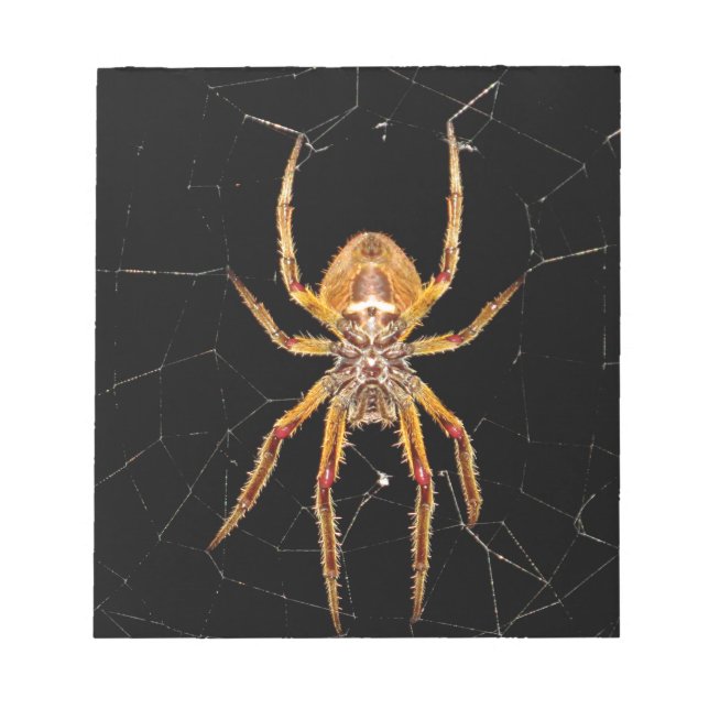 insect macro spider colombia notepad (Front)