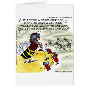 Insect Nightclub Singers Funny