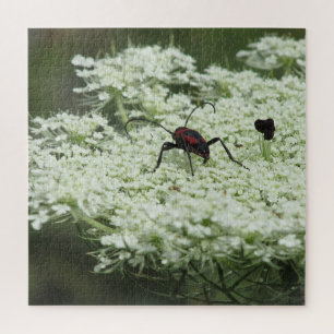 Insect on Elderflower Jigsaw Puzzle