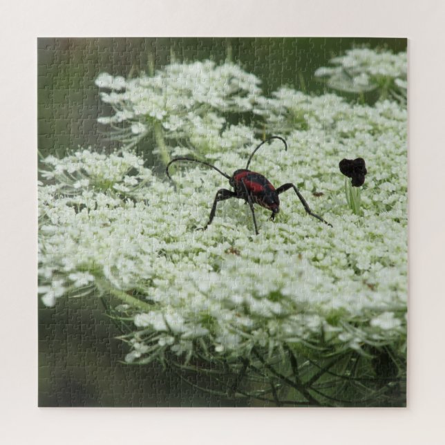 Insect on Elderflower Jigsaw Puzzle (Vertical)