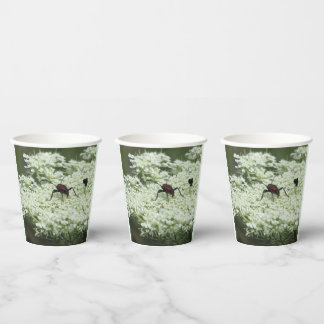 Insect on Elderflower Paper Cups