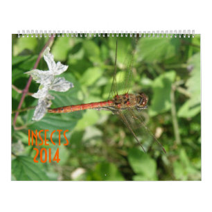 Insects 2014 Calendar
