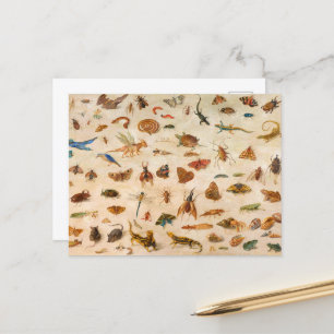 Insects, Amphibians and Shells by Jan van Kessel Holiday Postcard