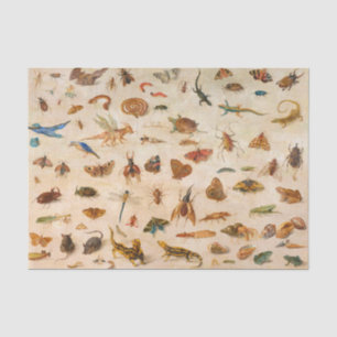 Insects, Amphibians and Shells by Jan van Kessel Tissue Paper