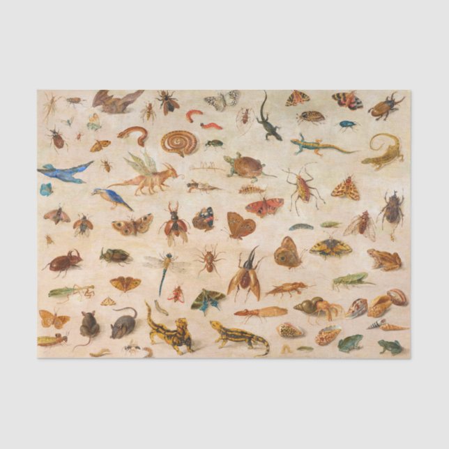 Insects, Amphibians and Shells by Jan van Kessel Tissue Paper (Front)