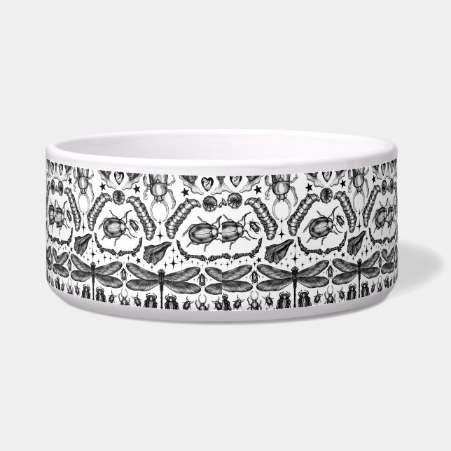 Insects and Bugs (Front)