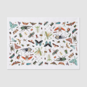 Insects and Butterflies Vintage Book Illustration Tissue Paper