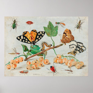 Insects and fruits - Jan van Kessel Poster
