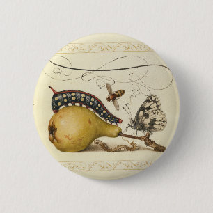 Insects Bee Butterfly Caterpillar Art Illustration 6 Cm Round Badge