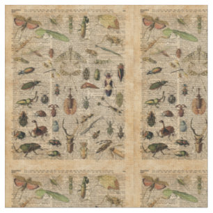 Insects Bugs Vintage Illustration Dictionary Art Fabric
