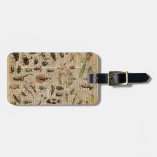 Insects Bugs Vintage Illustration Dictionary Art Luggage Tag
