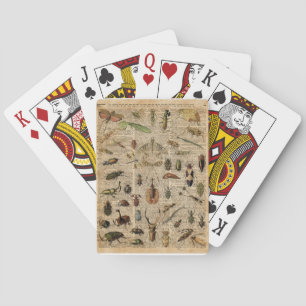 Insects Bugs Vintage Illustration Dictionary Art Playing Cards