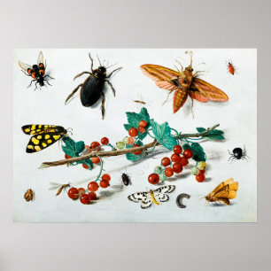 Insects by Jan van Kessel the Elder Poster
