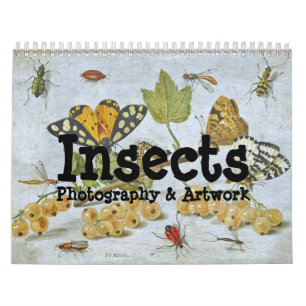 Insects Calendar