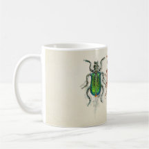 INSECTs