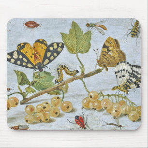 Insects Crawling Mouse Pad