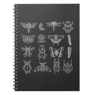 Insects Funny Entomologist Bug Catcher Entomology Notebook